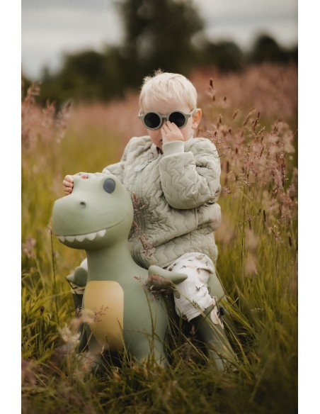 Animal Saltarín Hippo Dinosaurio