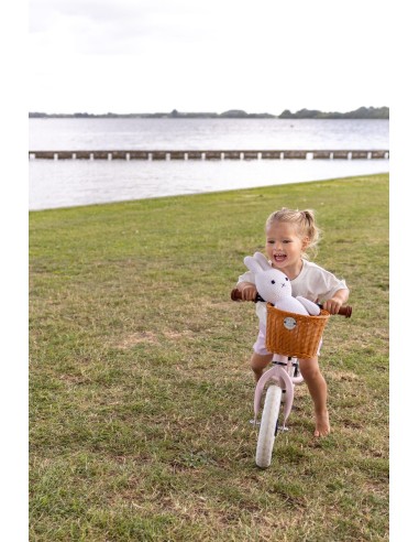 Bicicleta de Equilibrio Premium Pink