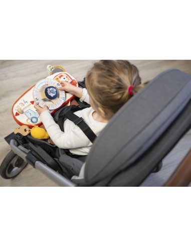 Panel de Actividades Coche