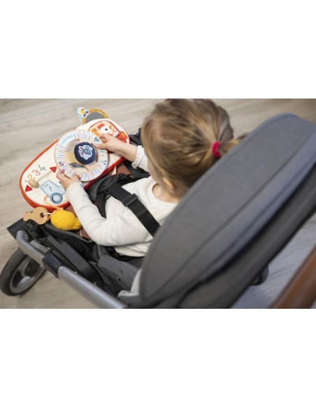 Panel de Actividades Coche