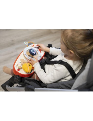 Panel de Actividades Coche