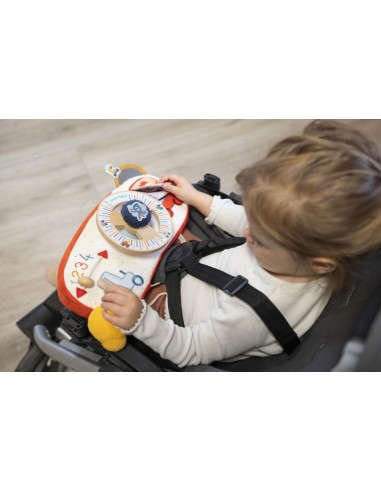 Panel de Actividades Coche