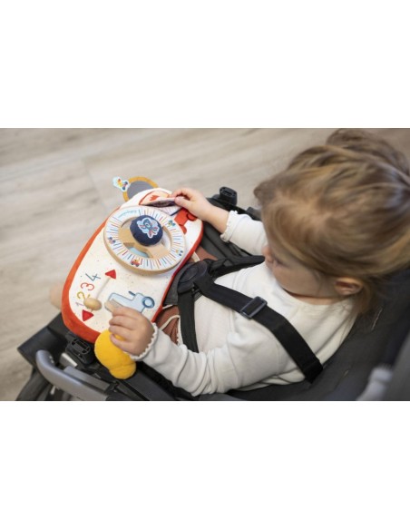 Panel de Actividades Coche