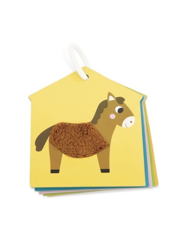 Cartas táctiles La Granja