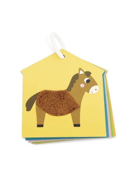 Cartas táctiles La Granja