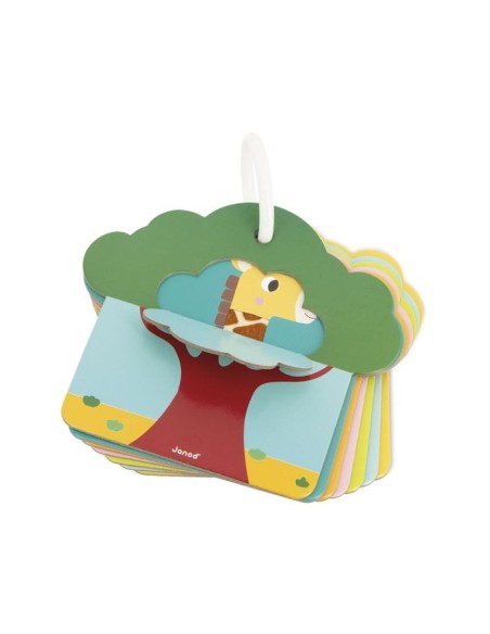 Cartas táctiles La Sabana