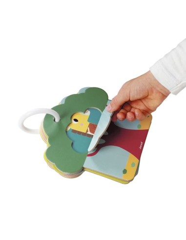 Cartas táctiles La Sabana