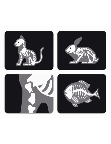 Maletin Veterinari@  Janod