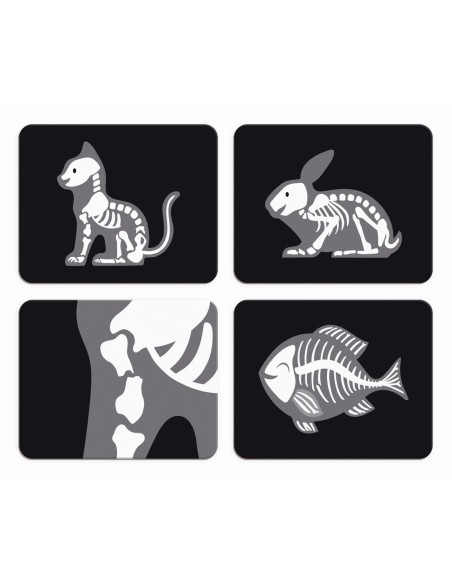 Maletin Veterinari@  Janod