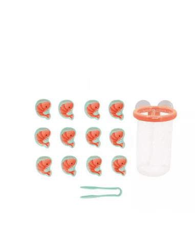 Trampa Para Pescar Gambas Janod