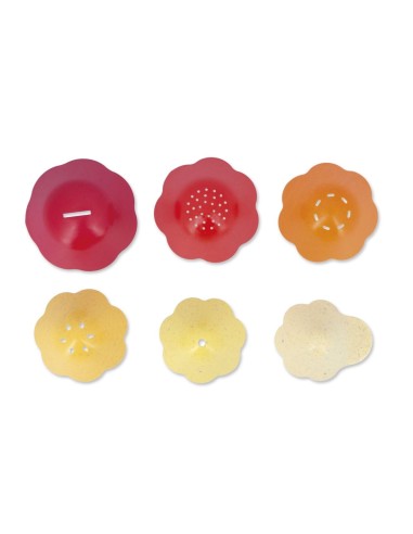 Bernard y su Caparazon Janod