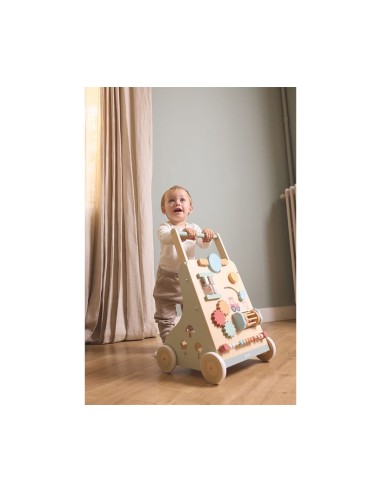 Andador de Actividades Seasons