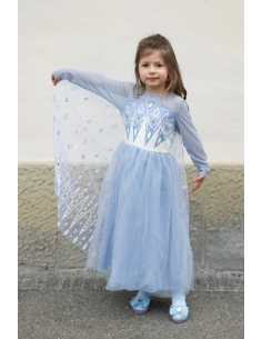 Vestido de princesa de invierno de Érase una vez una princesa 2
