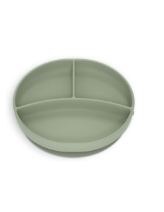 Plato con divisiones y ventosa Verde