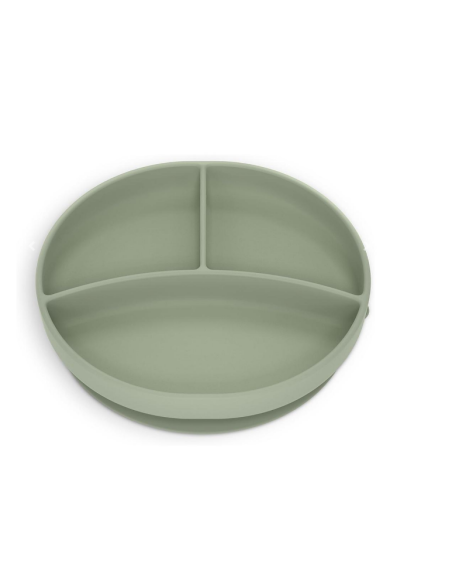 Plato con divisiones y ventosa Verde