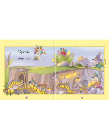 Leo y Veo Las Brujas