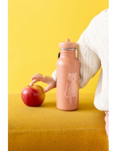 Botella Acero Trixie Cat 500ml