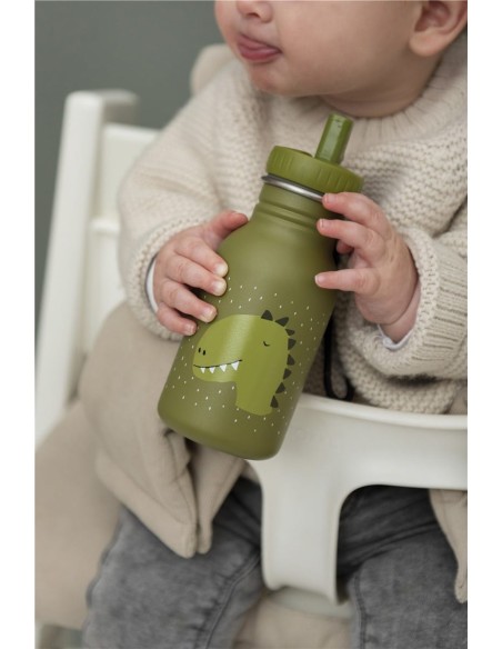 Botella Acero Trixie Dinosaurio 350ml