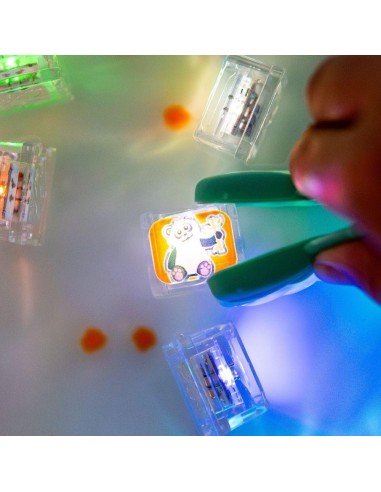 Set de 6 cubos de luz GloPals Zoo