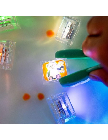 Set de 6 cubos de luz GloPals Zoo