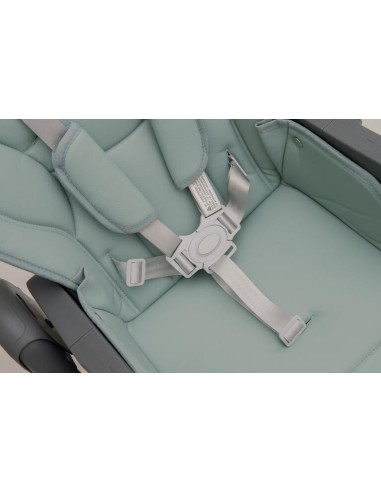 Trona Posiciones Blue Olmitos