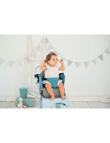 Asiento Elevador Lion Olmitos