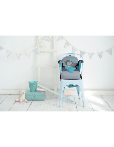 Asiento Elevador Lion Olmitos