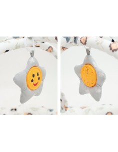 Alfombra de Actividades Lion Olmitos 2