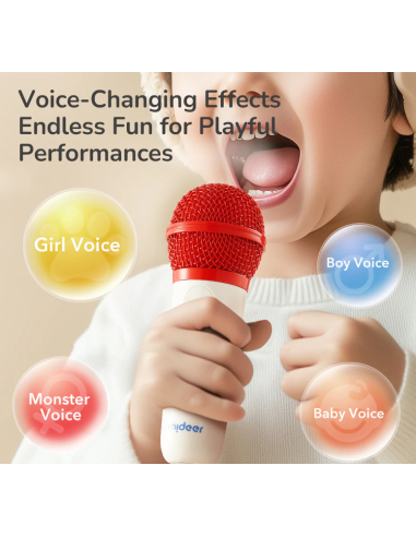 Conjunto de karaoke doble mideer