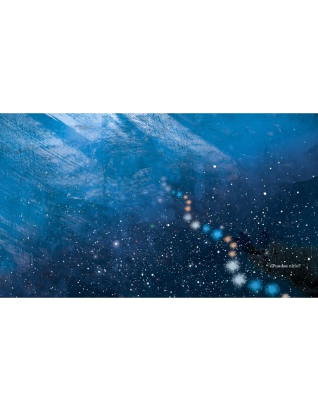 El canto de las ballenas