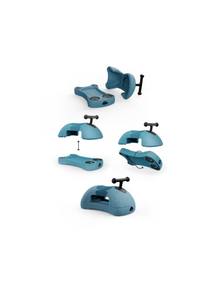 My First Correpasillos Rose