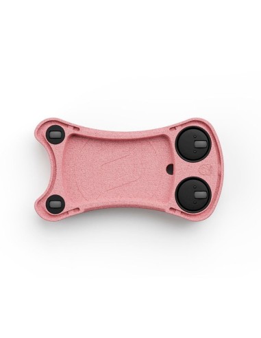 My First Correpasillos Rose