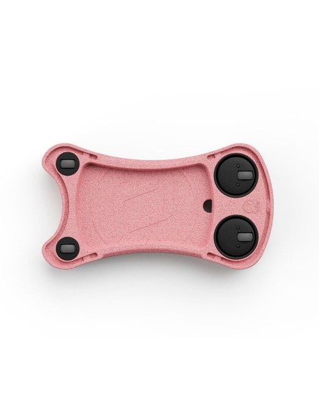 My First Correpasillos Rose