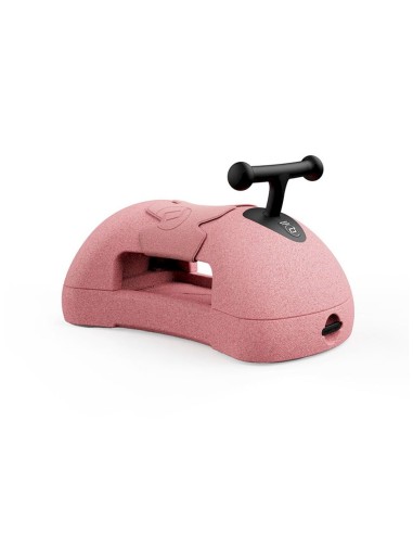 My First Correpasillos Rose