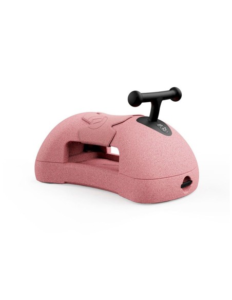 My First Correpasillos Rose