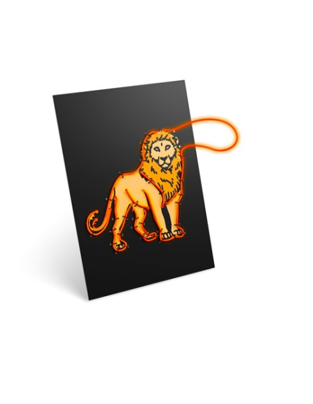 KIDYNEON Color naranja