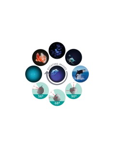 Proyector de Imágenes KIDYSTAR Ocean and Seas 2