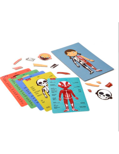 Magnético Cuerpo Humano  Apli