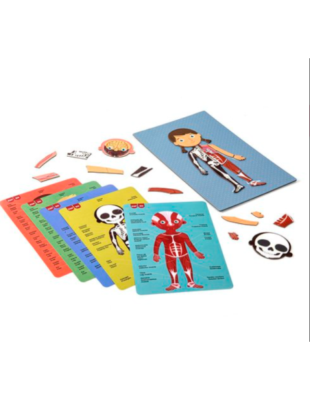 Magnético Cuerpo Humano  Apli