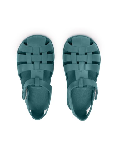 Cangrejeras Infantil Monnëka Whale Teal