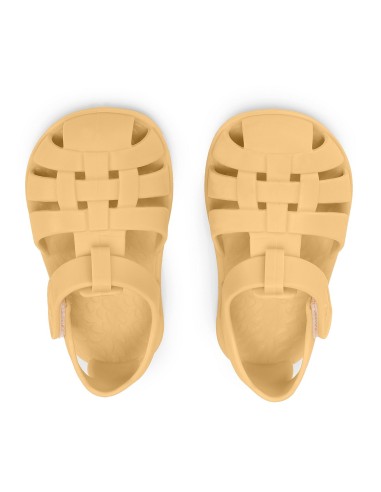 Cangrejeras Infantil Monnëka Wild Animals