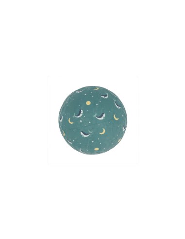 Pelota Pequeña Whale Teal
