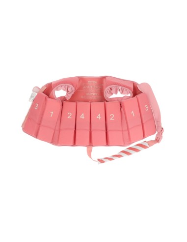 Chaleco Flotador Aprendizaje Stripes Bloom & Blush