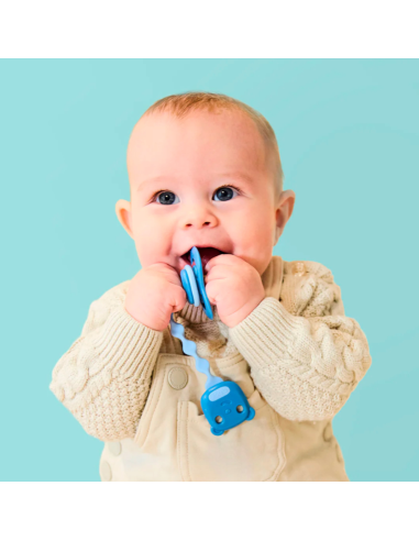 Sujetachupetes Twist - Sage/Ocean