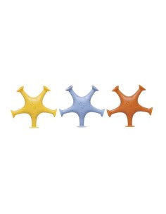 Estrellas de Mar Ventosa 2