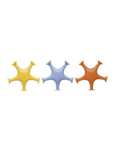 Estrellas de Mar Ventosa