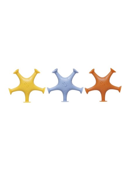 Estrellas de Mar Ventosa