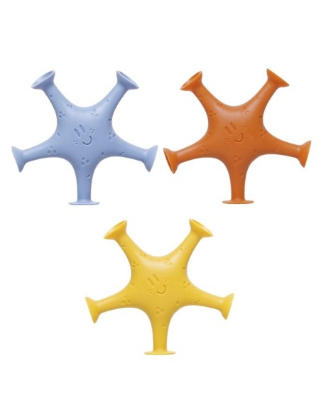 Estrellas de Mar Ventosa
