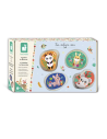 Kit Creativo - 4 Piedras con Forma de Animales para Decorar