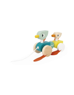 Patos Para Pasear
